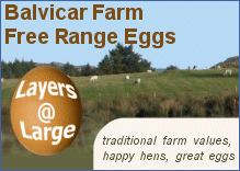 Balvicar Farm Free Range Eggs